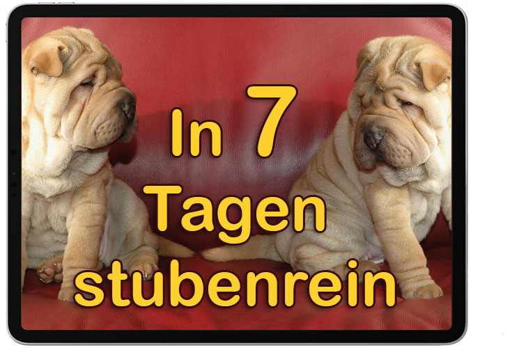 In 7 Tagen stubenrein