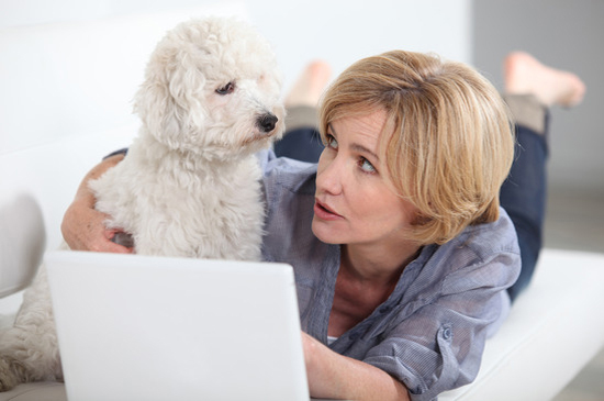online hundetraining online hundetraining