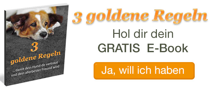 ebook Hundeverhalten ebook Hundeverhalten