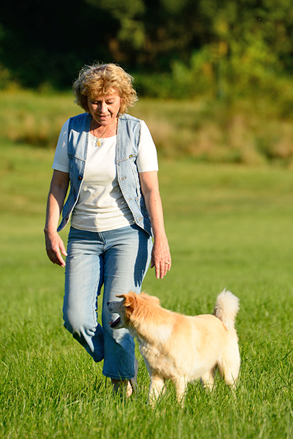 hundeverhalten